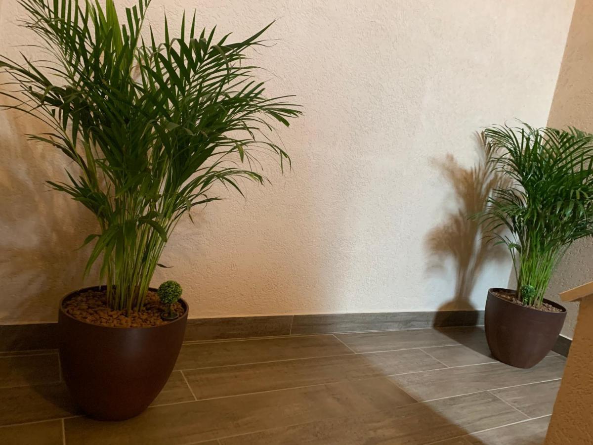 Braun Residence 萨彻勒 外观 照片