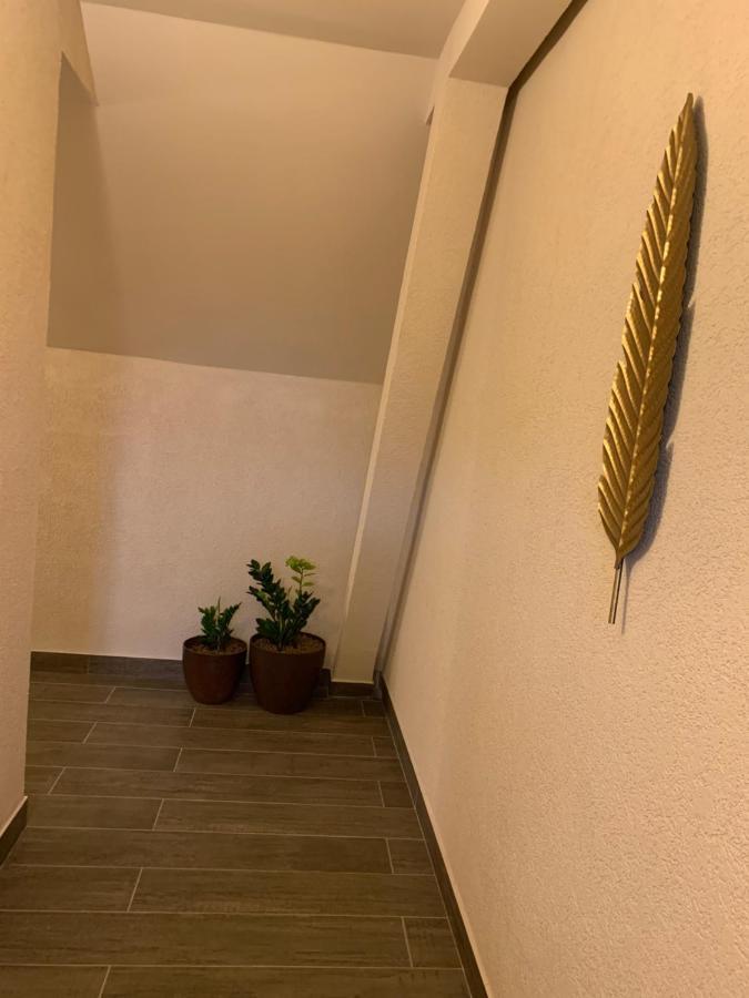 Braun Residence 萨彻勒 外观 照片