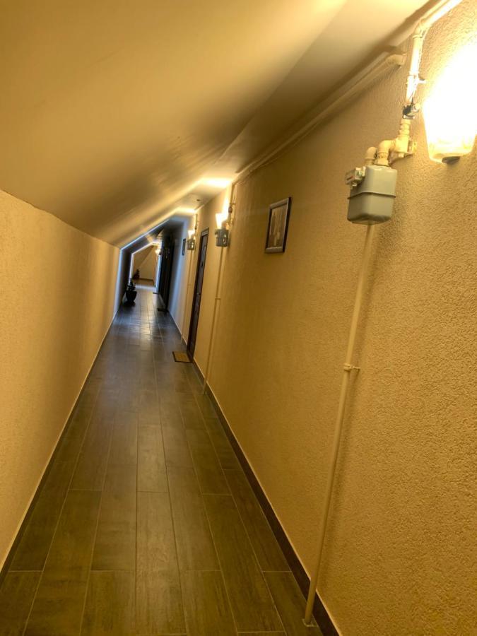 Braun Residence 萨彻勒 外观 照片